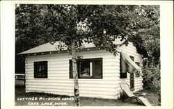 Dick's Lodge - Cottage #1 Postcard