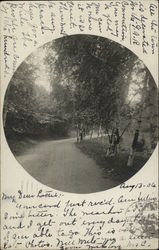 View down a scenic road Postcard