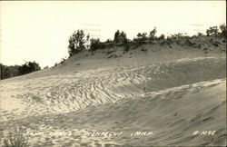 Sand Dunes Montague, MI Postcard Postcard