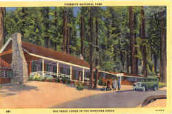 Big Trees Lodge Yosemite National Park, CA Postcard Postcard