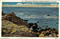 Point Joe On 17 Mile Drive Postcard