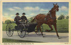 Amish Boys Out For A Drive Lancaster County, PA Postcard Postcard