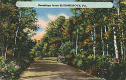 Greetings From Sugar Grove Postcard