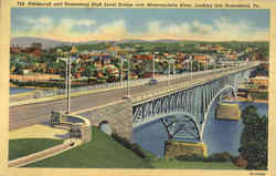 Pittsburgh And Homestead High Level Bridge Over Monogahela River Pennsylvania Postcard Postcard