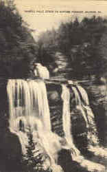 Sawkill Falls, Estate Of Gifford Pinchot Postcard