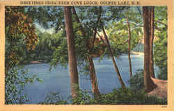 Greetings From Deer Cove Lodge, Ossipee Lake New Hampshire Postcard Postcard