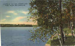 A View Of The Lake, Canobie Lake Park Salem, NH Postcard Postcard