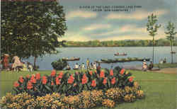 A View Of The Lake, Canobie Lake Park Postcard