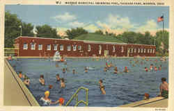 Warren Municipal Swimming Pool, Packard Park Ohio Postcard Postcard