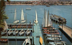 Vallely Boat Rental Balboa, CA Postcard Postcard