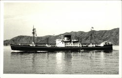 S.S. "Eastern Argosy" Boats, Ships Postcard Postcard