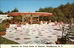 Chesters' Woodbourne, NY Postcard Postcard