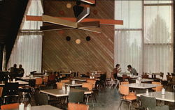 Canyon Village - Canyon Lodge Cafeteria Dining Room Postcard