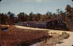 Sightseeing Trains Through Cranberry Bogs South Carver, MA Postcard Postcard