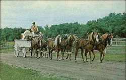 Bongards' Natural Cheese Postcard