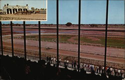 Juarez Race Track Mexico Postcard Postcard