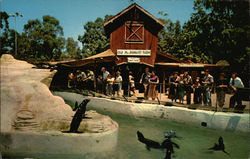 The Seal Pool and Old Mac Donald's Farm, Knott's Berry Farm Buena Park, CA Postcard Postcard