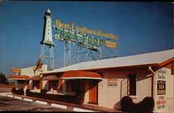 New England Raw Bar and Sea Food House Postcard