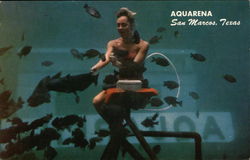 Aquarena Postcard