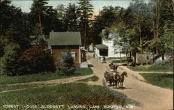 Forest House, Lake Sunapee Postcard