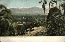 Redlands, from Smiley Heights Postcard