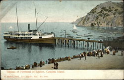 Arrival of Hermosa at Avalon, Catalina Island California Postcard Postcard Postcard