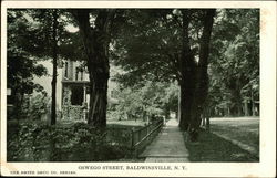 Oswego Street Postcard