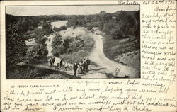 Seneca Park Postcard