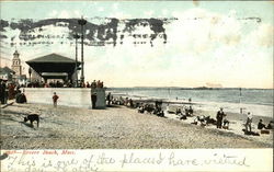 View of Beach Revere Beach, MA Postcard Postcard Postcard