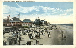 Looking North from Pier Postcard