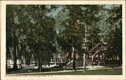 Sulphur Spring Pond Clifton Springs, NY Postcard Postcard Postcard