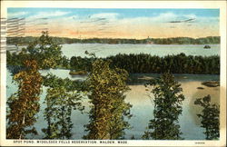 Spot Pond, Middlesex Fells Reservation Postcard