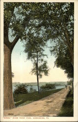 Scene, Riverfront Park Postcard