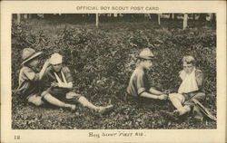 Boy Scout First Aid Postcard