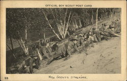 Boy Scouts Stalking Postcard Postcard Postcard