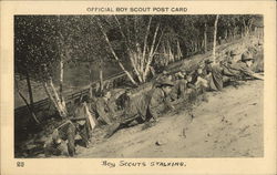 Boy Scouts Stalking Postcard