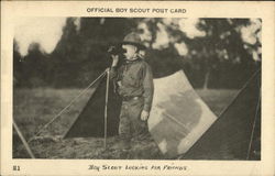 Boy Scout Looking For Friends Boy Scouts Postcard Postcard Postcard