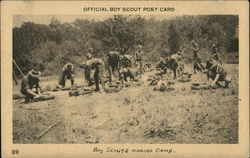 Boy Scouts Making Camp Postcard Postcard Postcard