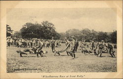 "Wheelbarrow Race at Scout rally" Boy Scouts Postcard Postcard Postcard