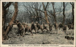 Boy Scout Work as Taught at a Redpath-Brockway Chautauqua Postcard