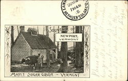 Souvenir of Newport, Vermont Postcard Postcard Postcard