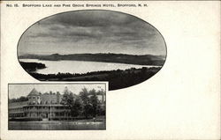 Spofford Lake and Pine Grove Springs Hotel Postcard