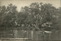 Independence Island Bathing Pool Postcard