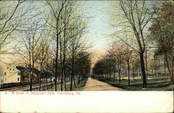 A Drive In Reservoir Park Harrisburg, PA Postcard Postcard Postcard