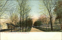 A Drive in Reservoir Park Harrisburg, PA Postcard Postcard Postcard