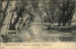 Paxtang Park - Along the Indian Spring Postcard