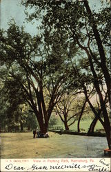 View in Paxtang Park Postcard