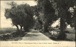 Old Willow Walk on Pappoosequaw Road at Head of Bristol Harbor Rhode Island Postcard Postcard Postcard