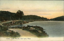 Lynn Woods Postcard