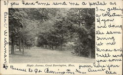 Maple Avenue Postcard